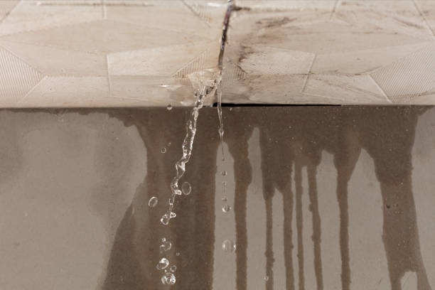 Professional Structural Drying technician working in Bass Lake, CA